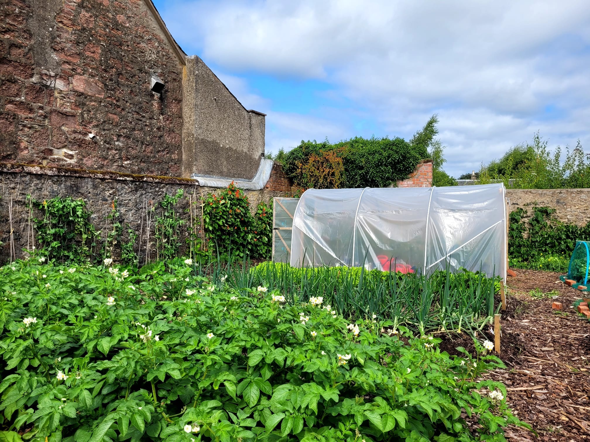 Rattray Community Garden