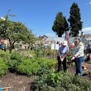 Volunteers thanked at grand opening of Rattray Community Garden