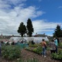 Great turnout at Rattray Community Garden open day 