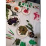 Biodiversity Blair hosts children’s craft workshops