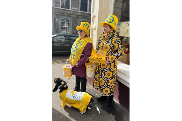 Marie Curie Great Daffodil Appeal