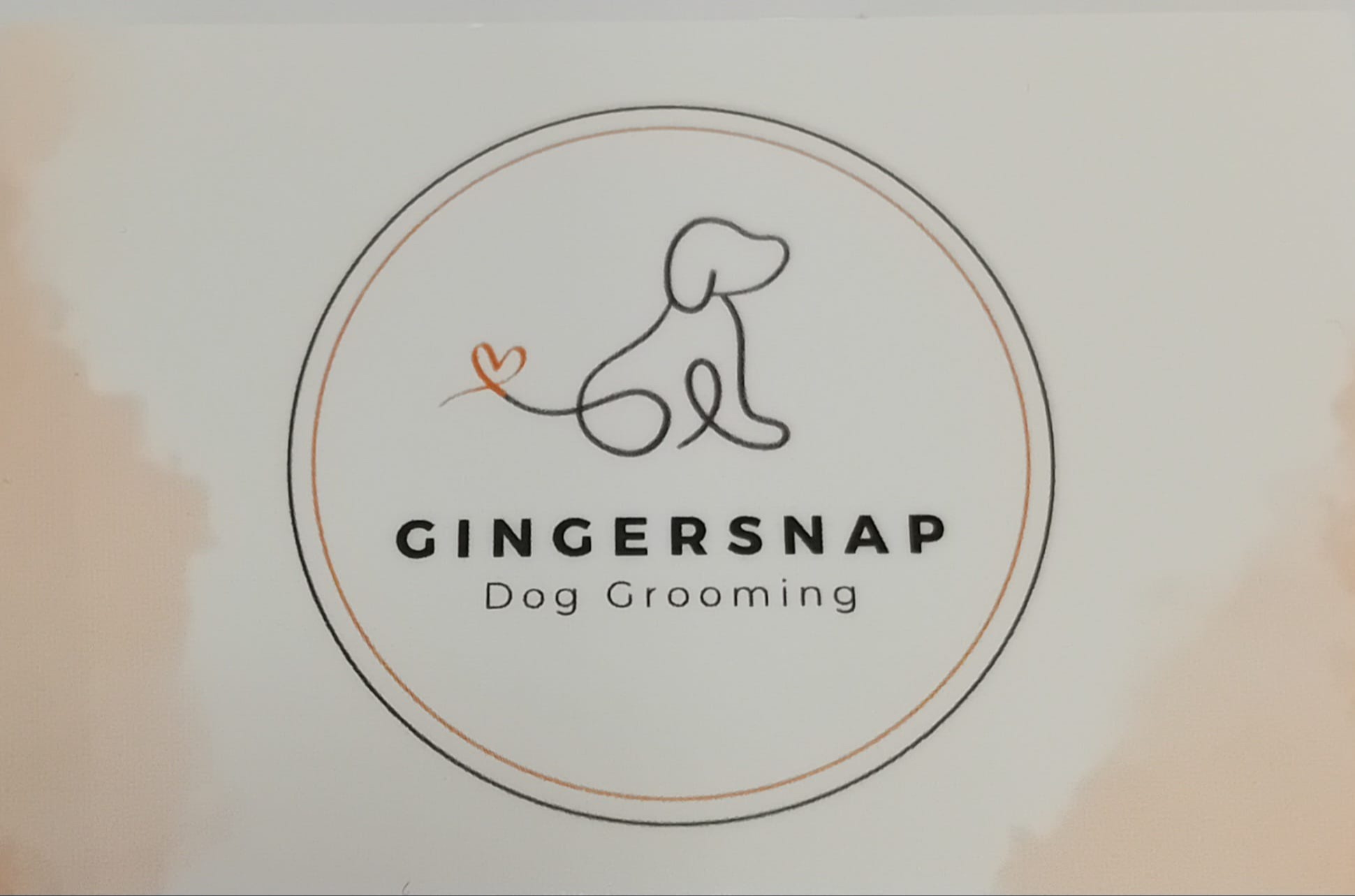 Gingersnap Dog Groomer