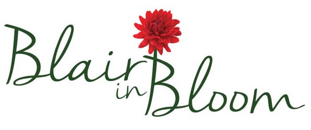 Blair in Bloom Weekly Catch Up