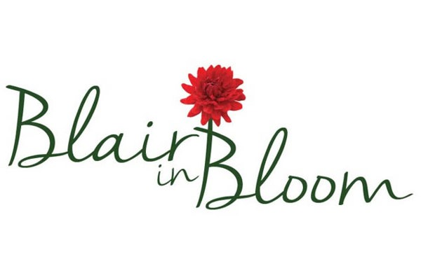 Blairgowrie & Rattray in Bloom AGM