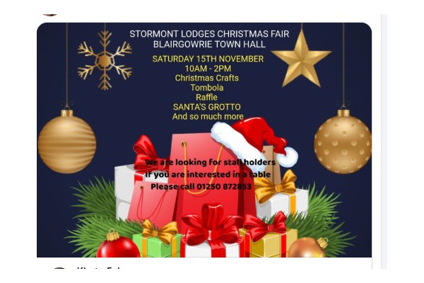 Stormont Lodge's Christmas Fair