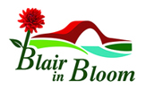 Blair in Bloom
