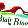 Blair in Bloom Success at Beautiful Scotland Awards