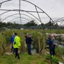 Community fruit picking returns to Blairgowrie and Rattray