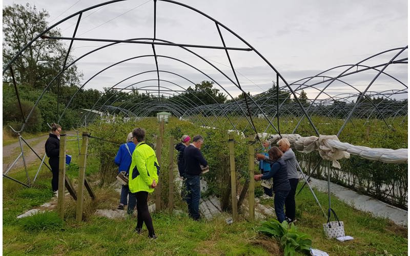 Community fruit picking returns to Blairgowrie and Rattray Community fruit picking returns to Blairgowrie and Rattray