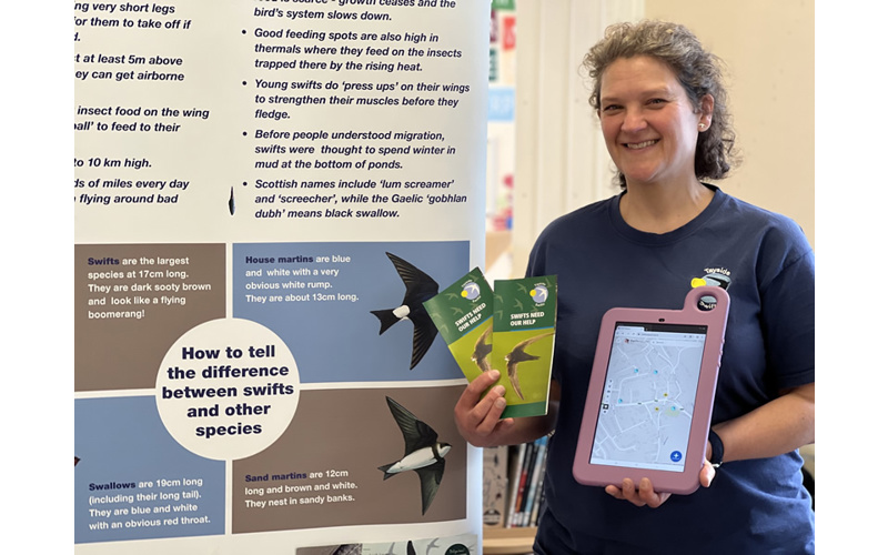 Chance to become a 'Swiftie' thanks to new project Chance to become a 'Swiftie' thanks to new project