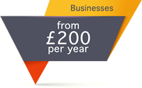 Mini website for businesses from £200 per year