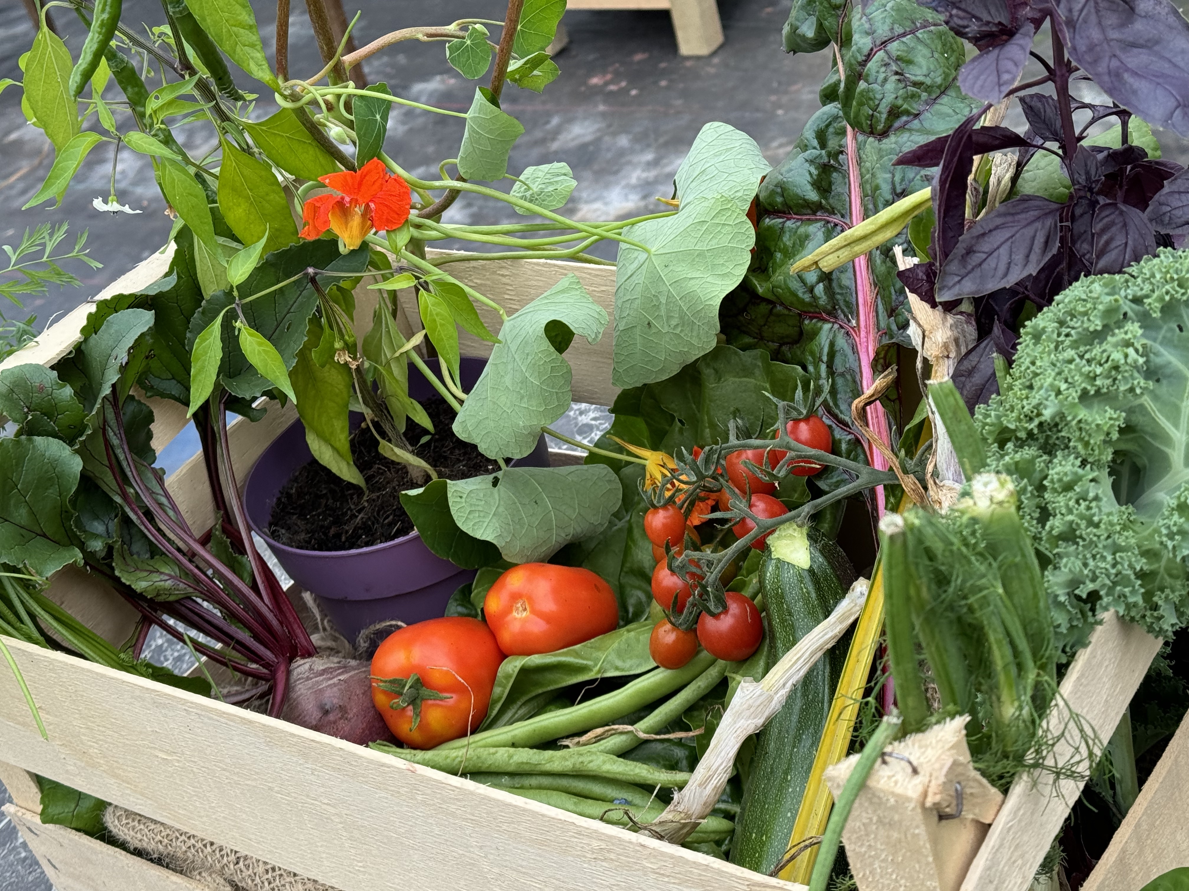 New ‘veg in a bag’ offering from Rattray Community Garden