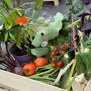 New ‘veg in a bag’ offering from Rattray Community Garden