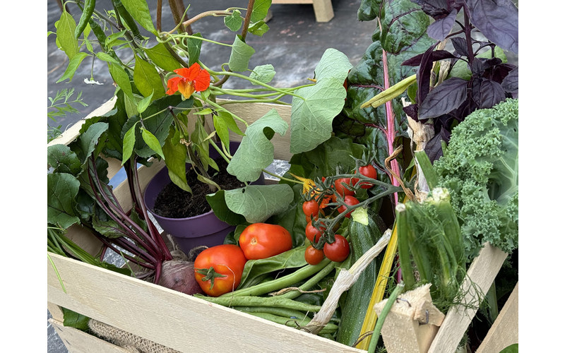 New ‘veg in a bag’ offering from Rattray Community Garden New ‘veg in a bag’ offering from Rattray Community Garden