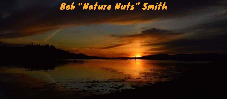 Bob Nature Nuts Smith