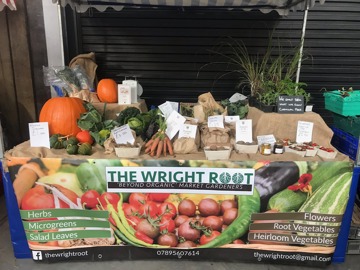 The Wright Rootx