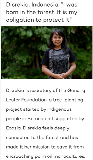 NO PALM OIL NOVEMBER - Week 4