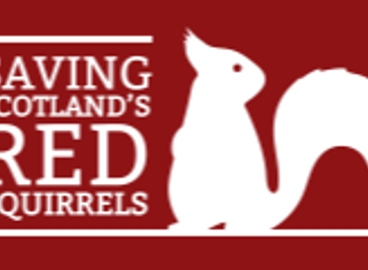 Saving Scotland's Red Squirrels - Tayside Officex