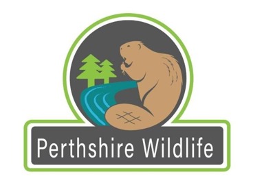 Perthshire Wildlifex